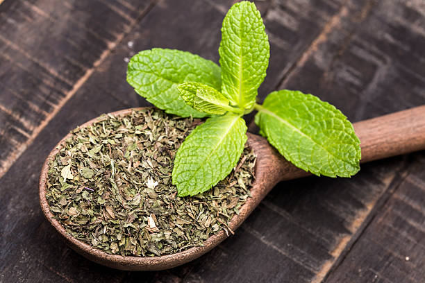 عرضه نعناع فلفلی خشک با کیفیت و ممتاز