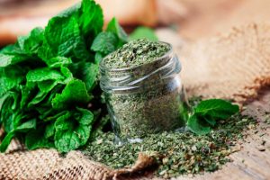 سفارش نعنا خشک بسته بندی + شرایط استثنایی